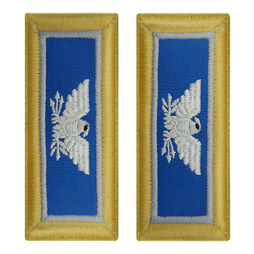Army Shoulder Strap: Colonel Military Intelligence - female