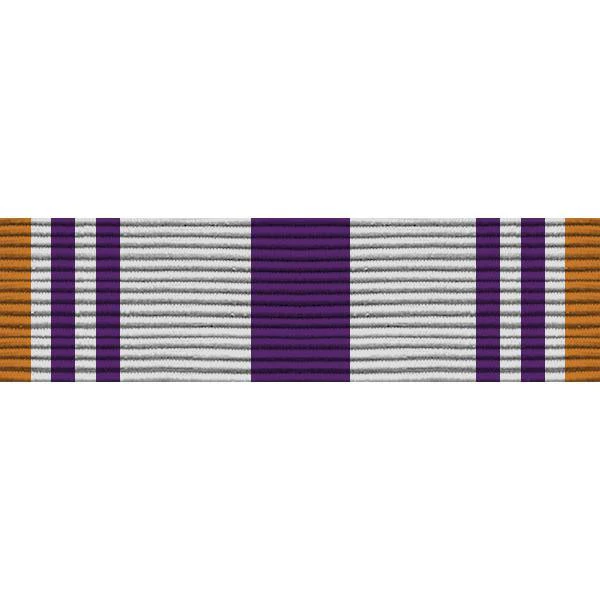Army ROTC Ribbon Unit: N-4-5: AJROTC Public Achievement