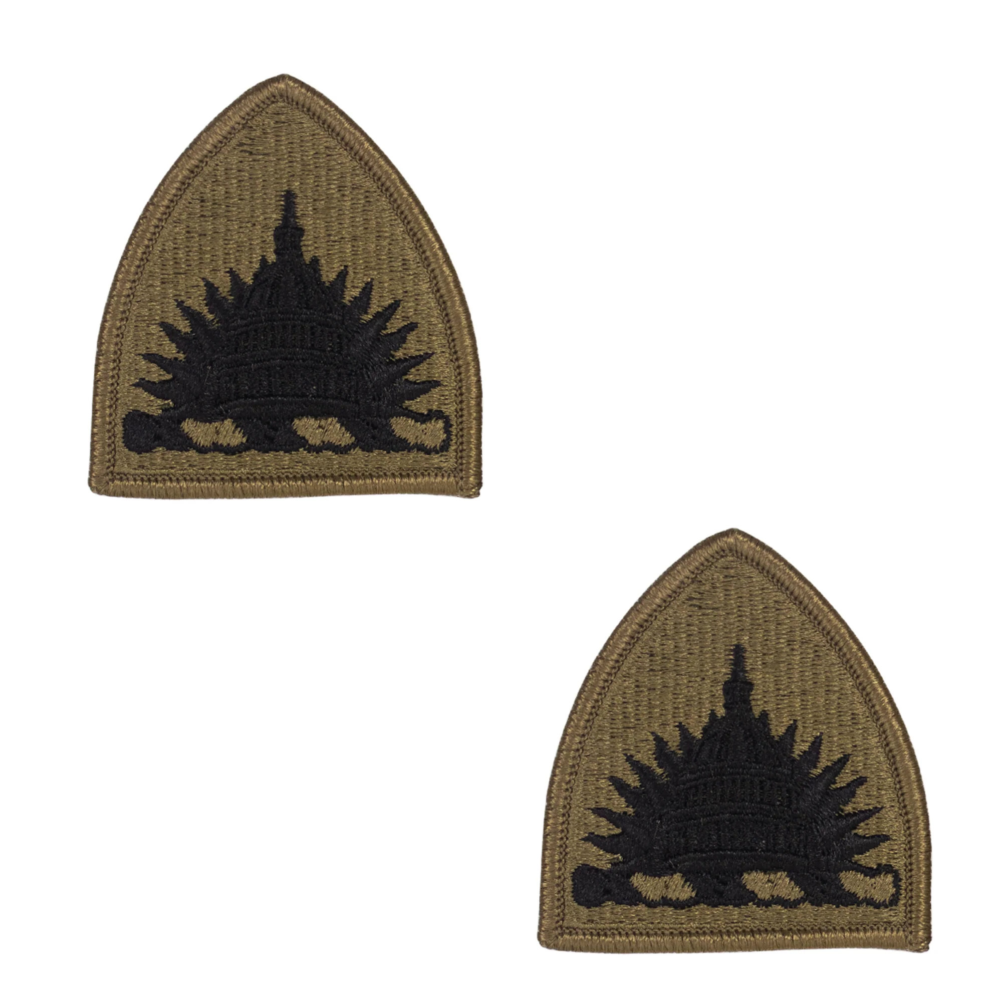 Army Patch: District of Columbia National Guard - embroidered on OCP with hook