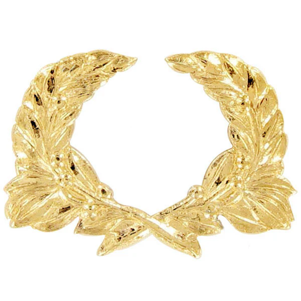 Army ROTC Award: School Academic Achievement Honor Wreath