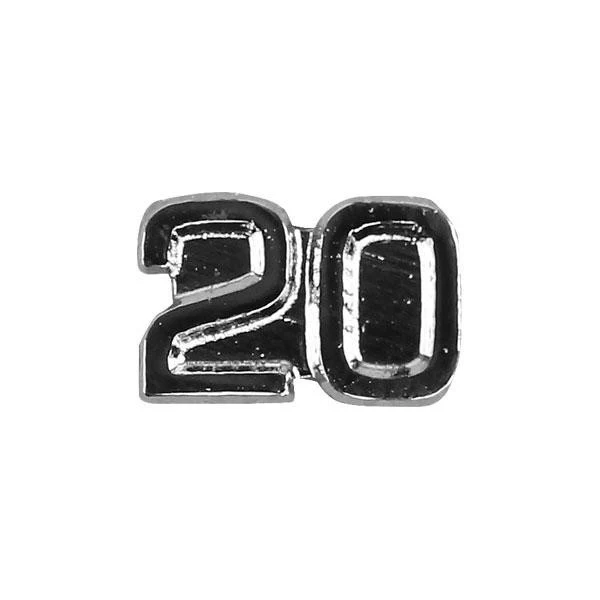 Civil Air Patrol Pin: 20 Year Longevity Service