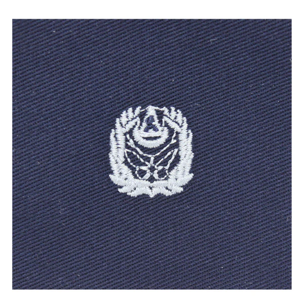 Civil Air Patrol Cloth Badge: Squadron Commander (New Insignia)