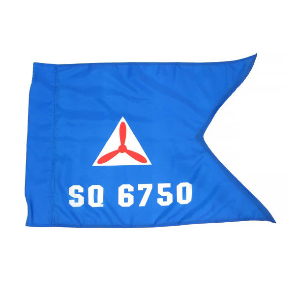 Civil Air Patrol Flag: Guidon