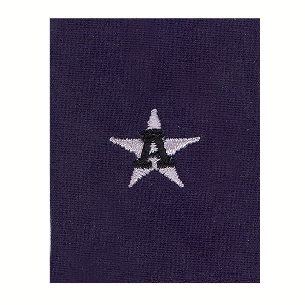 Coast Guard Auxiliary Jacket Tab: DCO