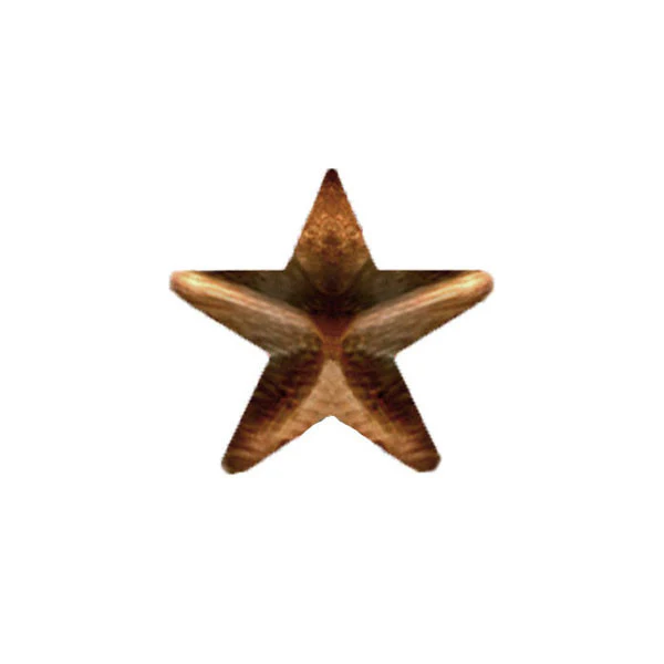 NO PRONG Ribbon Attachments: 5/16 inch Bronze Star
