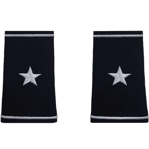 Air Force Epaulet: Brigadier General - female