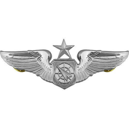 Air Force Badge: Air Battle Manager: Senior - regulation size