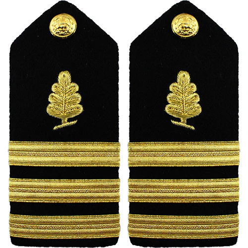 Navy Shoulder Board: Commander Medical Service - female