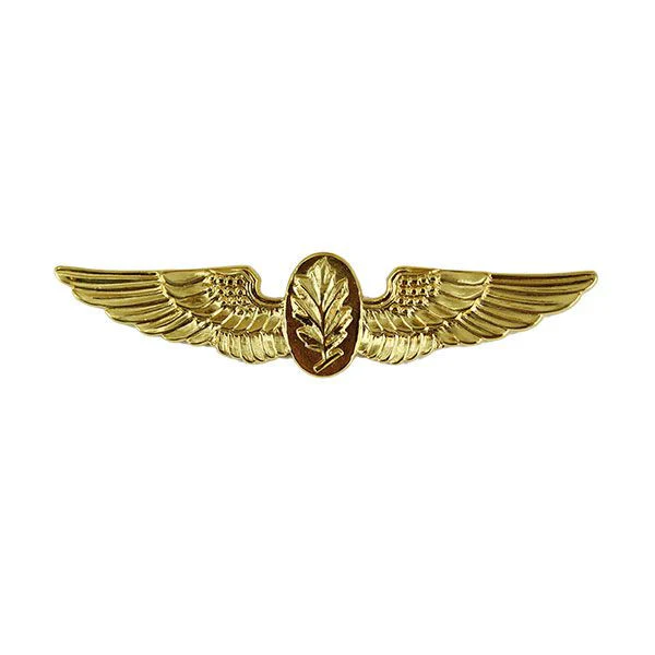Navy Badge: Aviation Physiologist - miniature, gold finish
