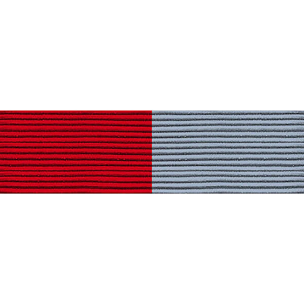 Ribbon Unit #3213: Young Marines Drill Team
